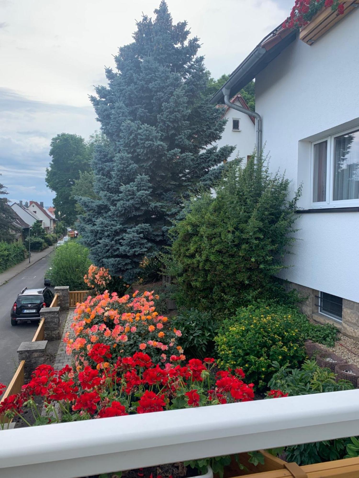 Ferienwohnung Fischer Jena Exteriör bild